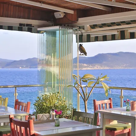 Sonne - Adults Only 3* Kaş