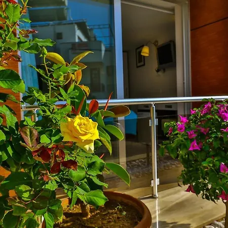 Hotel Sonne - Adults Only 3*