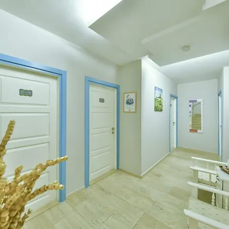 Sonne - Adults Only קס