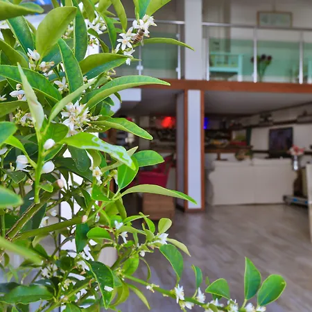 سونا - للكبار فقط 3*