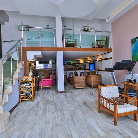 سونا - للكبار فقط كاس