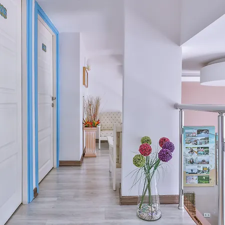 سونا - للكبار فقط كاس